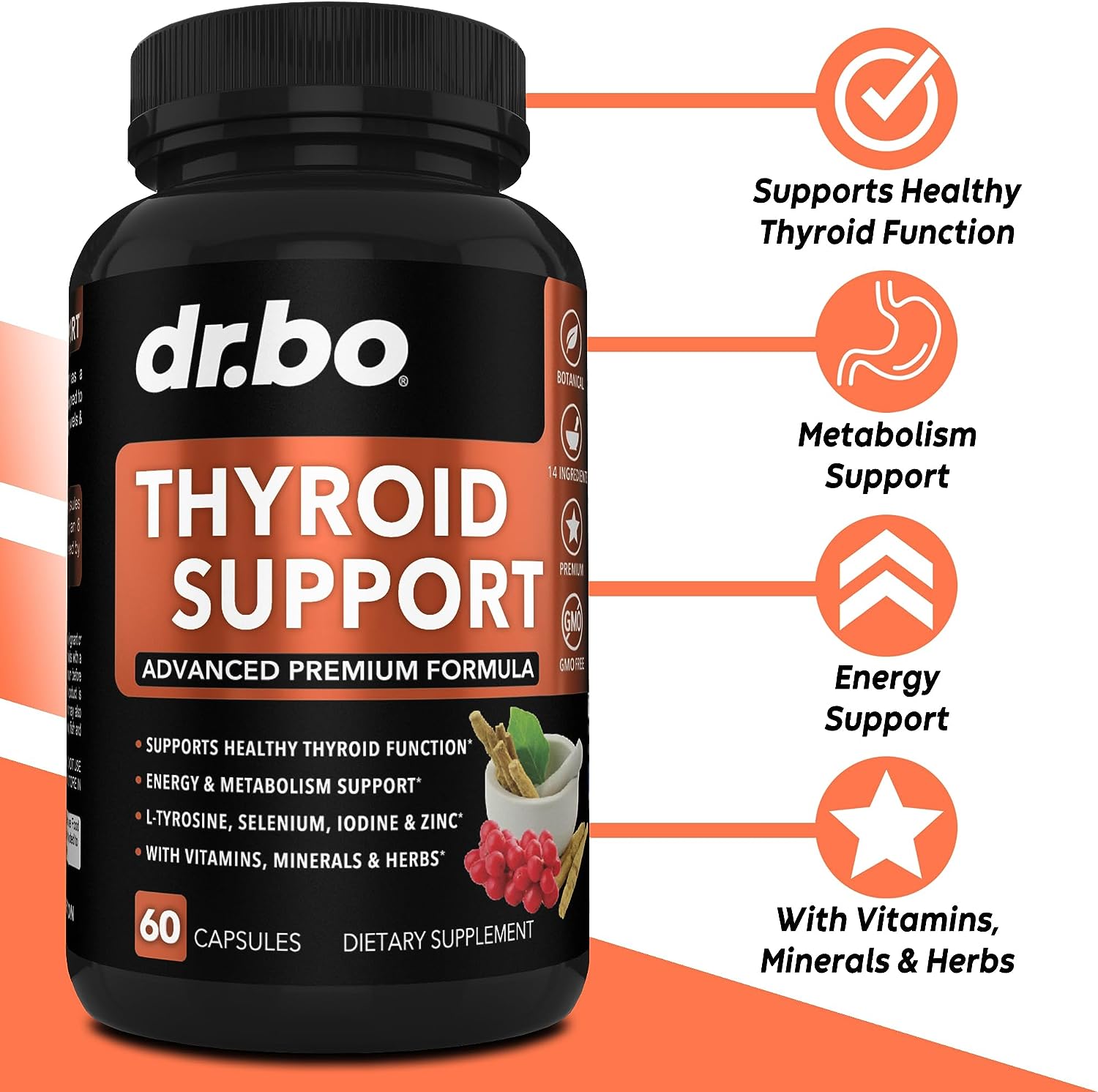 Thyroid Support Supplement Review
